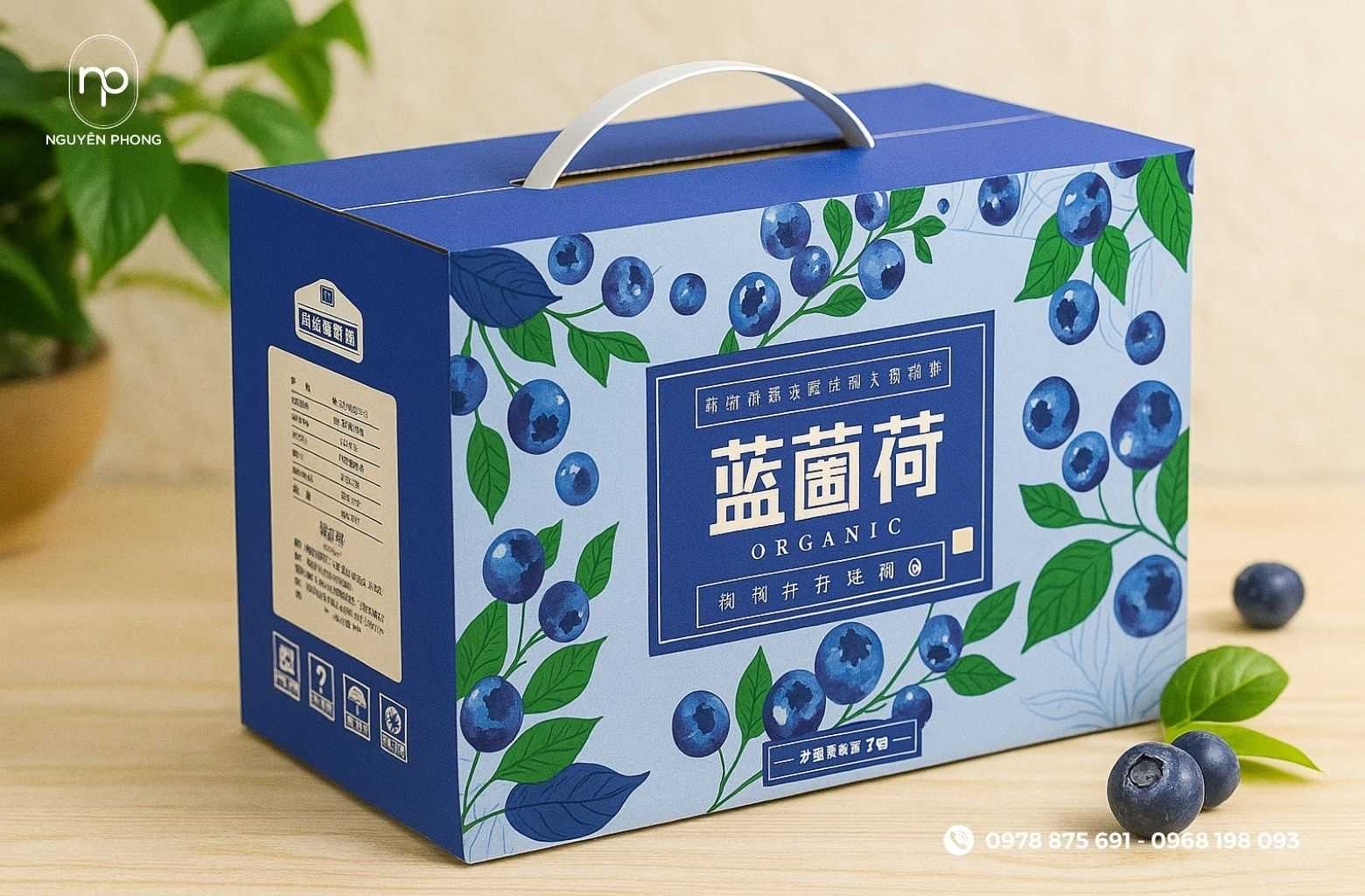 Thùng carton đựng việt quất ấn tượng